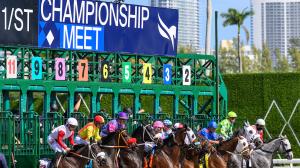 ABR Sunday Selections: Full-Card Picks for Feb. 1 at Gulfstream Park